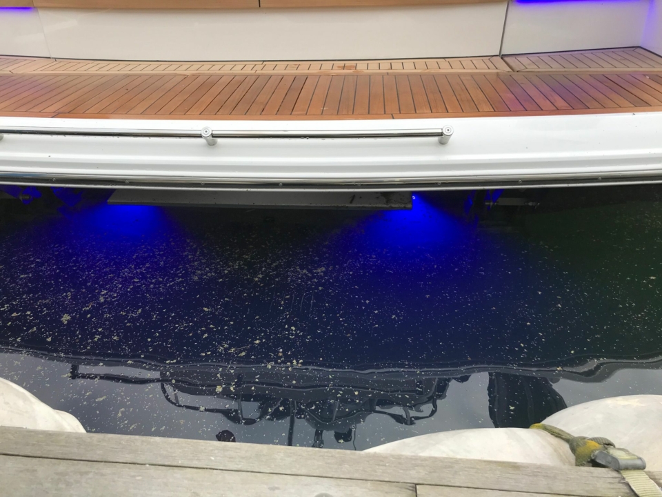 Fairline Targa 45 GT - Sieckmann Yachts