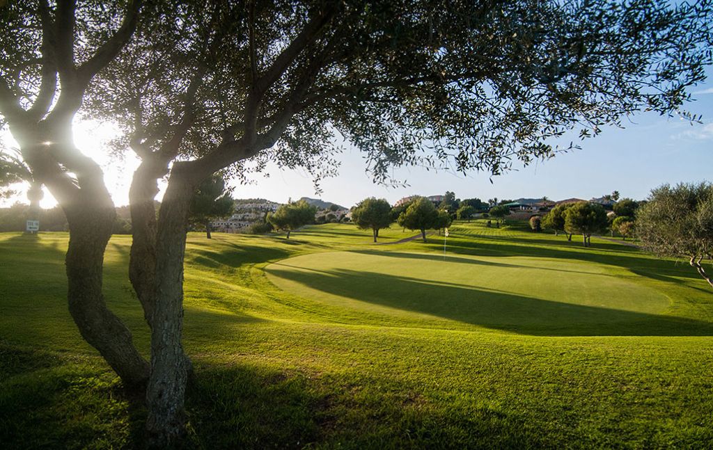 Golfen auf Mallorca: 6 traumhafte Golfplätze, die Sie kennen sollten - Sieckmann Yachts